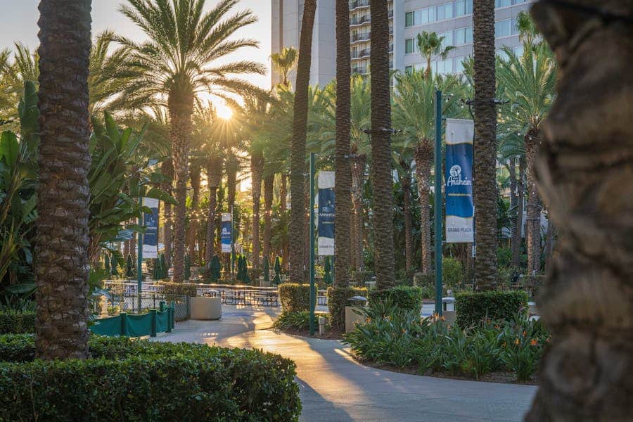 public park cleaning
